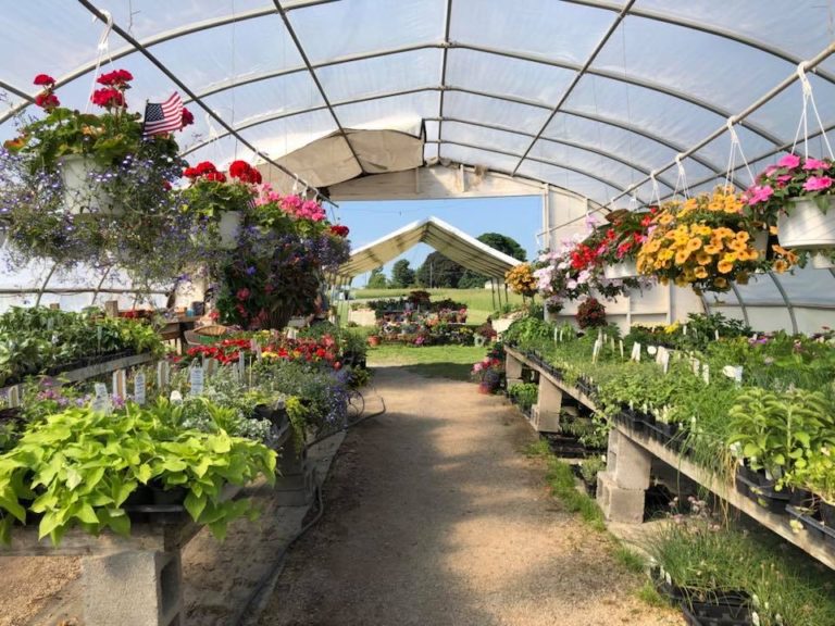 Greenhouse – Ivy Hill Farm